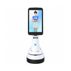 Alpha Fairy mobiele digitale servicerobot