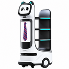 Alpha Panda Ultra Liefer- und Marketingroboter