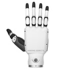 Inspire RH56BFX behendige robothand