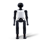 FF Master Mini humanoider Roboter