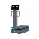 Alpha Panda AMR F300 industriële bezorgrobot