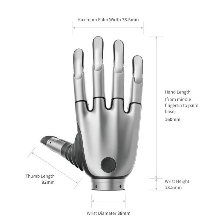 BrainCo Revo 2 Touch Biomimetic Dexterous Left Hand